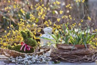 Table arrangement with Galanthus nivalis and moss hare.
