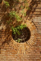 Circular grille in old weathered brickwork with wisteria foliage hanging over it. Sunlight makes shadows on the wall.