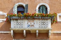 Weathered ornamental stone balcony with window boxes of red pelargoniums in front of green shuttered windows and brown stucco'ed wall.