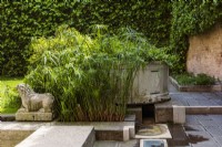 Part of the courtyard garden designed by Carlo Scarpa for the museum Querini Stampalia Fondation. Featuring a rill and water-spout. Plants include the water-loving Cyperus alternifolius, and ivy, Hedera sp., clothing the back wall.