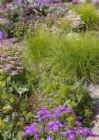 Colorful perennial border with ornamental grasses, autumn September