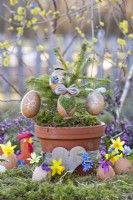 Easter arrangement with eggs hanging from a spruce in terracotta , spring flowers and decorations.