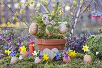 Easter arrangement with eggs hanging from a spruce in terracotta , spring flowers planted in eggs and decorations.