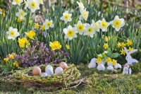 Willow twig and moss nest with coloured eggs, a hen and a bunny in front of the bed with daffodils.