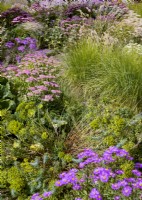 Colorful perennial border with ornamental grasses, autumn September