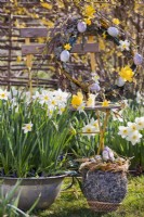 Outdoor Easter decoration with egg nest and hanging wreath. Pots of daffodil - Narcissus - in foreground.