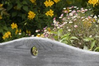 Top of wooden bench with flower bed behind. Summer. 