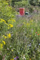 Wildflower meadow and beehives.