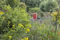 Wildflower meadow and beehives.