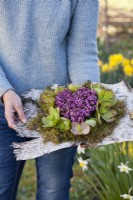 Woman holding spring flower arrangement with heather and hellebore on birch bark.