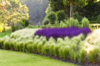 Planting with Stipa and Salvia, summer June