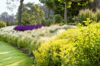 Planting with Stipa, Salvia and Alchemilla, summer June