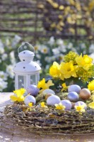 Easter table decoration with egg nest made of willow twigs, lichens and daffodils.
