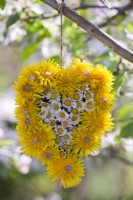 Heart made of dandelion and daisies hanging from a tree.