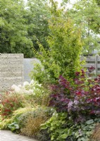 Planting with shrubs and ornamental grasses, summer July