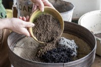 Creating your own seed compost with the correct mixture of ingredients.