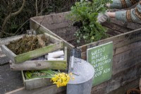 Adding weeds to a compost bin made with planks of wood