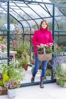 Woman carrying a basket containing Coprosma 'Inferno' and Echinacea 'Sunseekers Salmon' out of a greenhouse