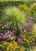 Colorful perennial border with Miscanthus, autumn October