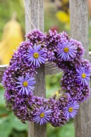 Floral wreath of verbena and aster flowers.
