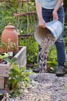 Woman adding layer of gravel on path in vegetable garden.