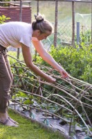 Building support for cucumbers. from hazel poles and net.