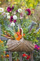 Basket with freshly harvested organic produce.