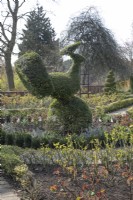 Topiary peacock in the Rose Garden at Birmingham Botanical Gardens and Glasshouses