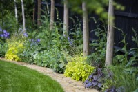 Curved path and border with Heuchera and Digitalis.
