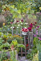 Flowerbeds with dahlias and vegetable plots in the end of the summer.