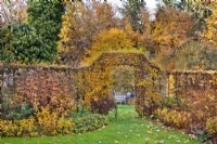 Garden in November with perennial double borders edged with hornbeam hedges and a lawn way leading through arch to the other garden room.