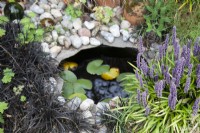 Small pond bordered by ophiopogon and pebbles