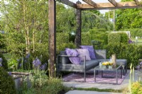 Seating area under a wooden pergola surrounded by Betula and evergreen hedging - Abigail's Footsteps, RHS Malvern Spring Festival 2022