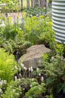 Shade loving plants in a border including Tiarella, ferns, Camassia and Euphorbia - The Vitamin G Garden, RHS Malvern Spring Festival 2022