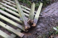 Tanalised fence posts blown over in winter January gales and rotten at ground level five years after installation