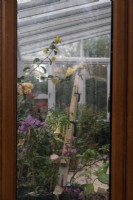 Many conservatories have poor wind bracing to deal with storm force winds - here an owner has put in a temporary timber brace to avoid gale damage