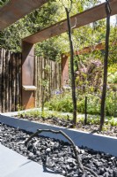 Beds with charcoal and charred wood and regenerating fire damaged Eucalyptus dalrympleana.

The Body Shop Garden 

Designer: Jennifer Hirsch

RHS Chelsea Flower Show 2022 Sanctuary Gardens