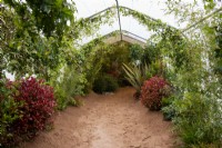 Welcome to the Jungle, RHS Malvern Spring Festival 2022
