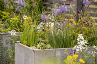 Galvanised water tanks planted with Camassia - Affordable Gardens, Task Garden, RHS Malvern Spring Festival 2022