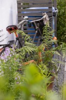 Bicycle with wheelie bin store - Affordable Gardens, Task Garden, RHS Malvern Spring Festival 2022