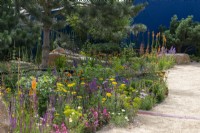 A broad path curves past borders of pines and colourful perennials such as kniphofia, salvias, gaura, echinacea, sea holly, achillea and coreopsis.