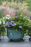 Copper cistern planted with lobelia, verbena, lilac ivy-leaf pelargonium, patio rose and Heucherella 'Pink Fizz' with sprays of pink flowers.