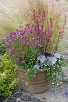 Nemesia 'Framboise' in terracotta pot with Heuchera 'Silver Gumdrop', coral bells, and white bacopa.