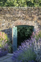 Open gate in walled garden, edged with Lavender, mid summer