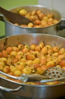 Making Crab Apple Jelly with Malus 'John Downie'