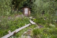 A Rewilding Britain Landscape. Designers: Lulu Urquhart and Adam Hunt. Wooden shed and bird hide. Raised reclaimed oak boardwalk and stream amongst weatland meadow and marginal plants with native wildflowers. RHS Chelsea Flower Show 2022. Gold Medal and Best in Show Award.