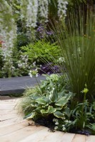 Kingston Maurward The Space Within Garden. Designer: Michelle Brown. Summer borders by light and dark wooden pathways. Plants include Dasylirion longissimum and Hosta 'Sorbet'. RHS Chelsea Flower Show 2022. Silver-Gilt Medal. 