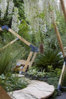 Kingston Maurward The Space Within Garden. Seating area at the end of wooden pathway amongst exotic planting. Plants include Wisteria floribunda, Cycas revoluta and Dasylirion longissimum. RHS Chelsea Flower Show 2022. Silver-Gilt Medal. Summer. May.