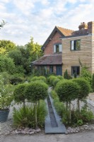 A late Victorian cottage provides a backdrop for a contemporary rill that descends the front garden, flanked by privet standards, Ligustrum delavayii, which are interspersed with low-growing clumps of Carex 'Ribbon Falls'.