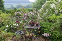 A sheltered dining area is flanked by white peonies, red scabious, pink Rosa 'Olivia Rose Austin' and white 'Rambling Rector'.